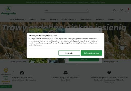 PIOTR MIKOŁAJCZYK „QUERCUS MIKOŁAJCZYK”